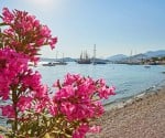 Best Beaches in Bodrum: A Local Guide to Bays and Coastal Spots