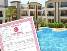 简化了针对外国买家的文件制作程序。