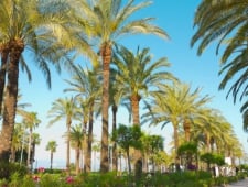 Uw Gids Voor De Costa Blanca, Spanje