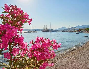 Best Beaches in Bodrum: A Local Guide to Bays and Coastal Spots