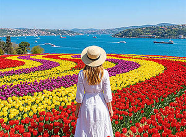 Сезон тюльпанов в Стамбуле: откройте магию весны