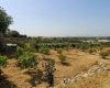 Panoramic Sea and Mountain View Farmhouse in Antalya 13