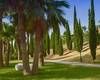 Goed Gelegen Beleggingsappartementen In Fuengirola Te Koop 7