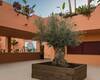 Apartments in Benahavis Surrounded by Golf Courses and Greenery 8