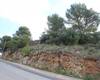 Land in a Quiet and Natural Area in Alhaurin De La Torre, Malaga 12
