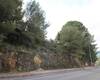 Land in a Quiet and Natural Area in Alhaurin De La Torre, Malaga 9