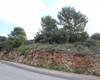 Land in a Quiet and Natural Area in Alhaurin De La Torre, Malaga 10