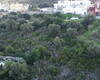 Large Land in a Fantastic Residential and Modern Area in Malaga 3
