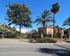 Green Land Suitable for Property Construction in Benalmadena 2