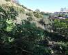 Green Land Suitable for Property Construction in Benalmadena 10