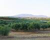 High Floor Ratio Plots in the Renowned Golf Resort in Mijas 5
