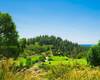 Residential Plots with Unique Views in Privileged Area of Mijas 1