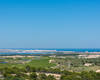 Bungalows Avec Piscine À San Miguel De Salinas 28