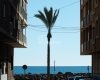 Torrevieja Alicante'de Çatı Havuzlu ve Mahzenli Daireler 3