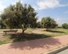 Inmueble Bien Situado En Habaneras Torrevieja 7