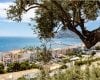 Elegant Beachfront Apartments in Exclusive Location of Altea 25