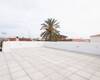 Spacious Villas on a Large Plot with Pool in Torrevieja 11