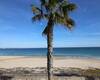 Furnished Apartment Close to the Beach in Mil Palmeras Spain 14