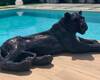 Lyxiga Och Rymliga Villor Med Privat Simbassäng I Torrevieja 7