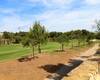 Chic Apartments in the Golf Resort in Pilar De La Horadada 22
