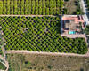 Rymlig Villa Med Pool Och Parkering I Orihuela Centro 27