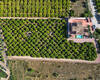 Rymlig Villa Med Pool Och Parkering I Orihuela Centro 26