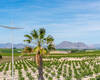 Villa's Dichtbij De Voorzieningen In Algorfa Alicante 17