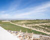 Elegante Golfvillen Mit Pool In Algorfa La Finca 23