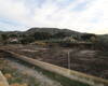 Spacious Real Estate with Private Pool in Alicante Elda 17