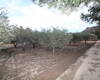 Spacious Real Estate with Private Pool in Alicante Elda 16