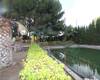 Spacious Real Estate with Private Pool in Alicante Elda 14