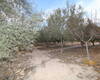 Spacious Real Estate with Private Pool in Alicante Elda 19