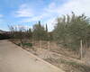 Spacious Real Estate with Private Pool in Alicante Elda 18