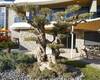 Luxueux Appartements Avec Vue Sur Mer À Kargicak Alanya 8