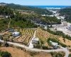 Investment Land with Avocado and Lemon Trees in Alanya 2