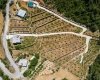 Investment Land with Avocado and Lemon Trees in Alanya 4
