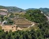 Investment Land with Avocado and Lemon Trees in Alanya 5
