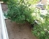 Spacious Duplex Apartment with Garden in Antalya Center 21