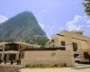 Chic Mountain and Forest View Villas in Konyaalti 1