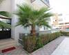 Appartement Élégant Près Des Terrains De Golf À Belek Antalya 7