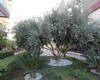 Real Estate with Mountain-view in a Complex in Konyaalti 4
