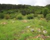 Field in Konyaalti, Geyikbayiri at Rock Bottom Price 1