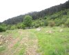 Field in Konyaalti, Geyikbayiri at Rock Bottom Price 2
