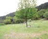 Field in Konyaalti, Geyikbayiri at Rock Bottom Price 4