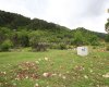 Field in Konyaalti, Geyikbayiri at Rock Bottom Price 6