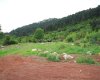 Field in Konyaalti, Geyikbayiri at Rock Bottom Price 7
