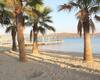 Apartment in Complex with Beach and Social Facilities in Bodrum 6