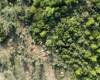 Olive Farm Close to the Center in Bodrum Mumcular 1