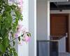 Bodrum Gümbet Havuzlu Site İçinde Daireler 13