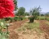 Investment Country House on Prime Land in Fethiye 15